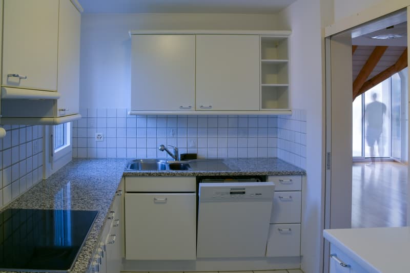 Sonnige 4.5-Zimmer-Dachmaisonette mit Traum-Weitsicht im Limmattal / Sunny 4.5-Room Duplex Apartment with Panoramic Views in Oetwil an der Limmat (4)