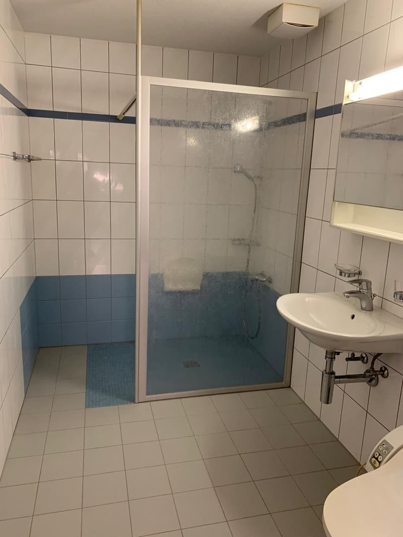 Nachmieter für 21/2-Zi-Wohnung (4)