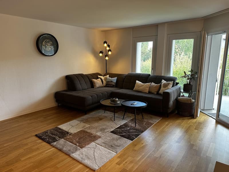 3.5 Zimmerwohnung zur Untermiete (6 Monate) (4)