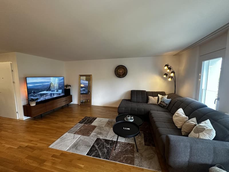3.5 Zimmerwohnung zur Untermiete (6 Monate) (2)