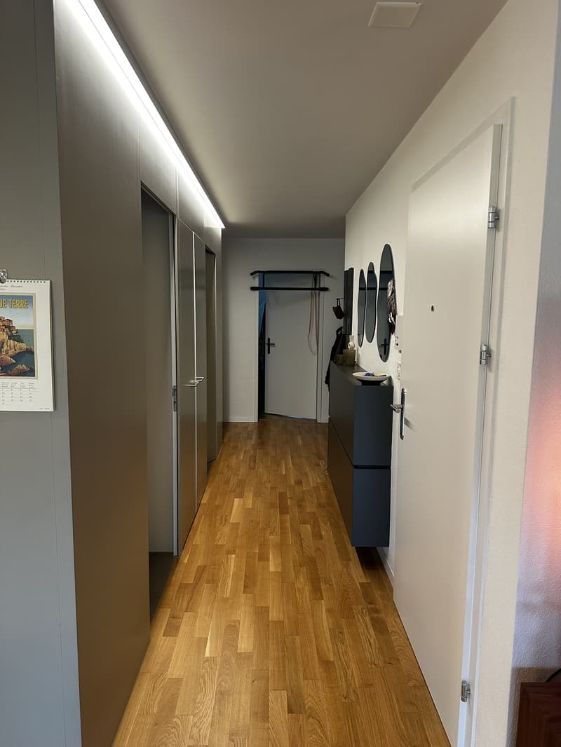 3.5 Zimmerwohnung zur Untermiete (6 Monate) (10)