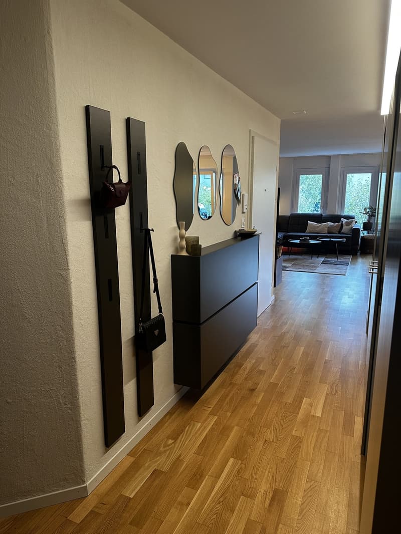 3.5 Zimmerwohnung zur Untermiete (6 Monate) (11)