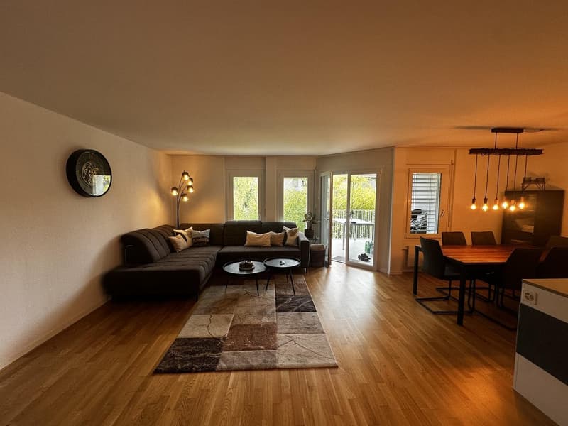 3.5 Zimmerwohnung zur Untermiete (6 Monate) (1)