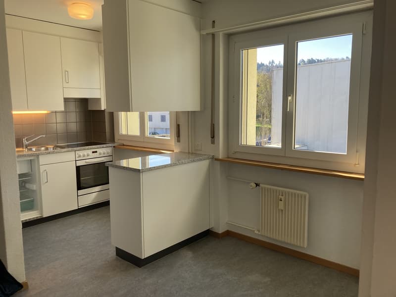 Geräumige und helle Wohnung (2)