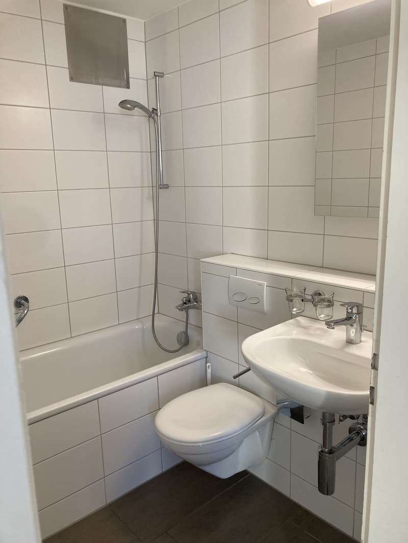 Geräumige und helle Wohnung (6)