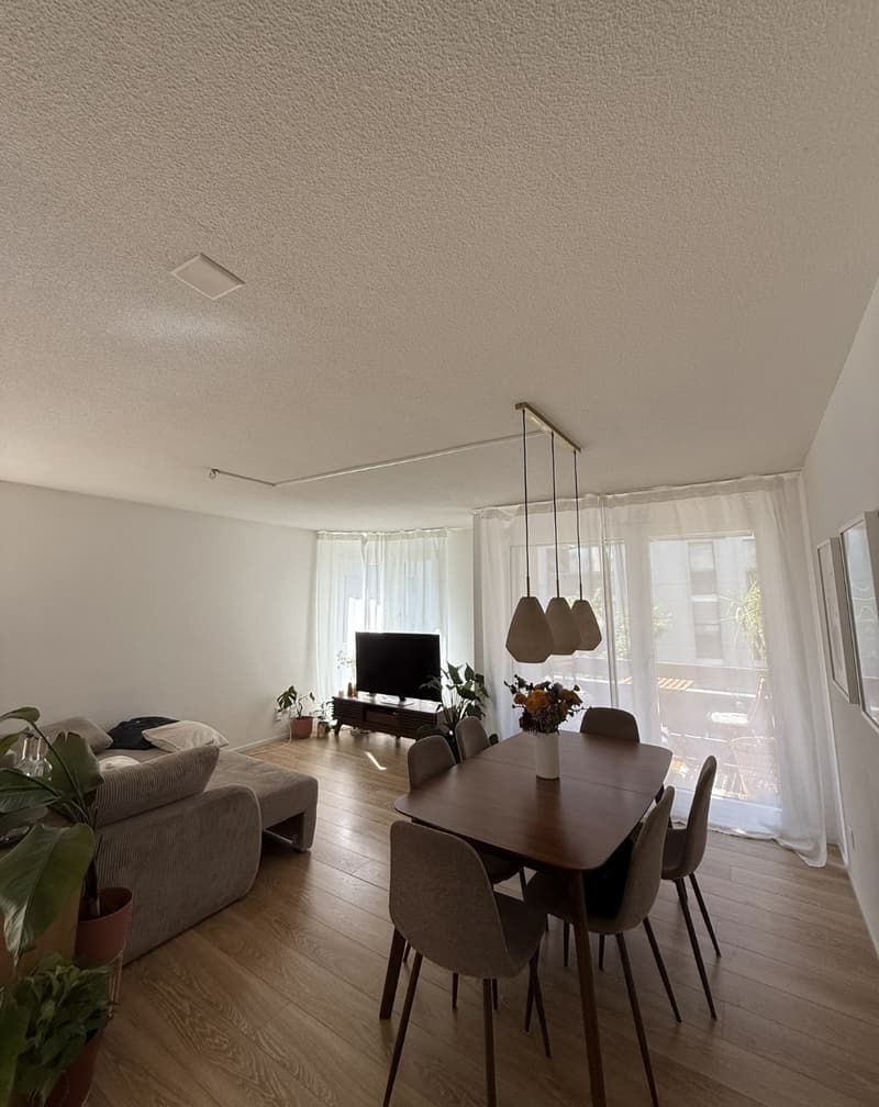 WG-Zimmer Kreis 4 (Helvetiaplatz) (2)