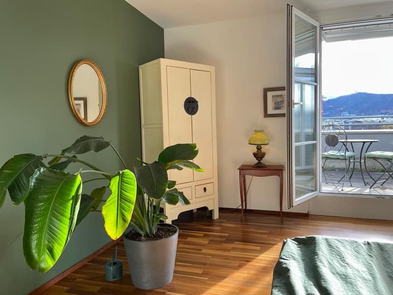 Fixed-term sublet until end of June 2028: Penthouse on the Limmat with panoramic view (4)