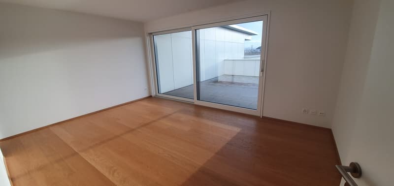 Grosszügige 4.5-Zimmer-Attikawohnung mit 150 m² Terrasse (8)