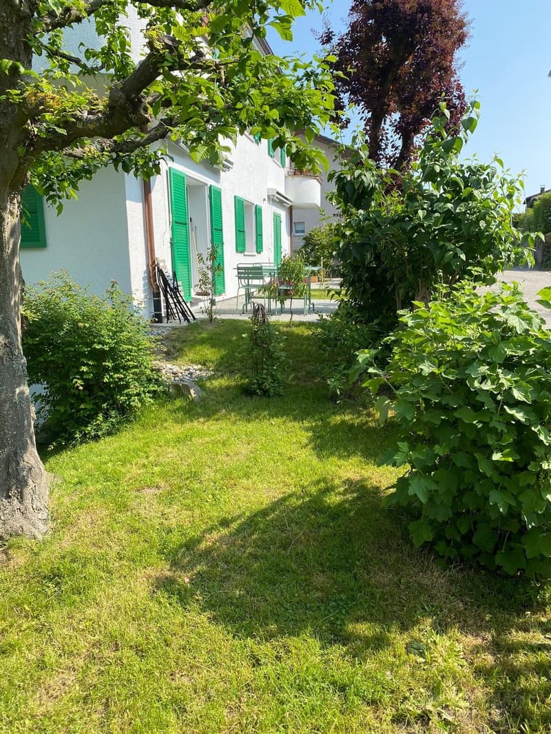 Schön sanierte Terrassenwohnung im Grünen (12)