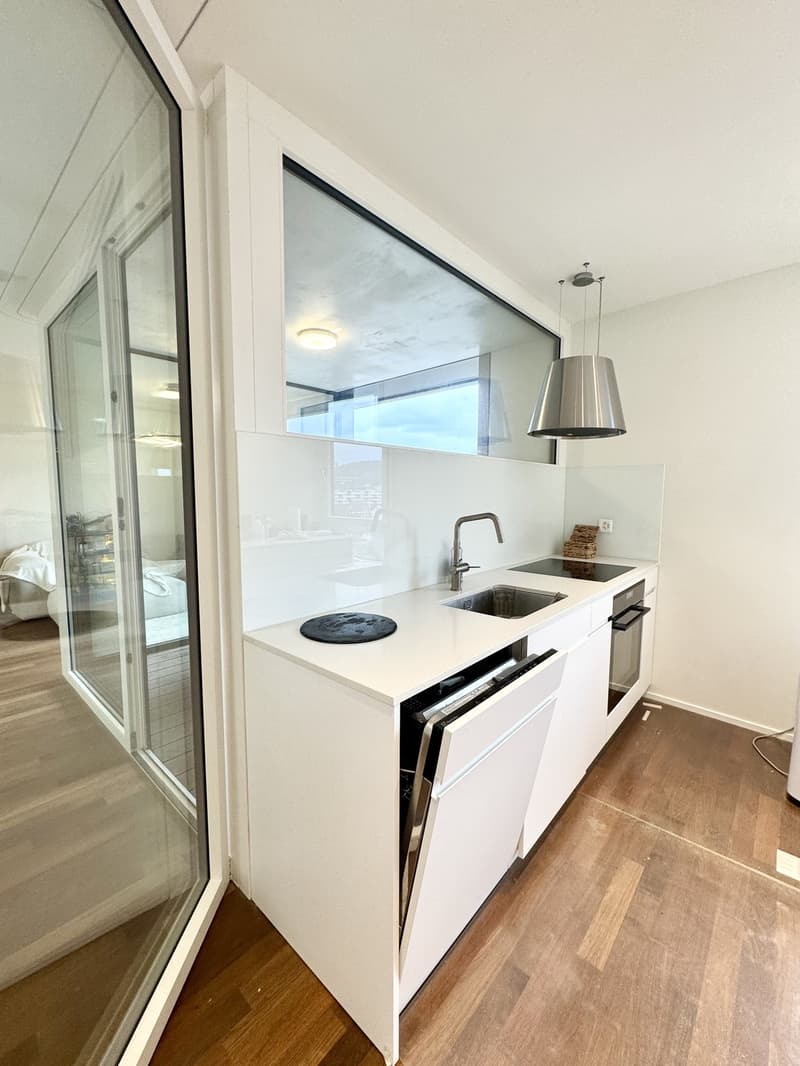 Möblierte Neubauwohnung mit Loggia und Weitblick zur Untermiete (6)