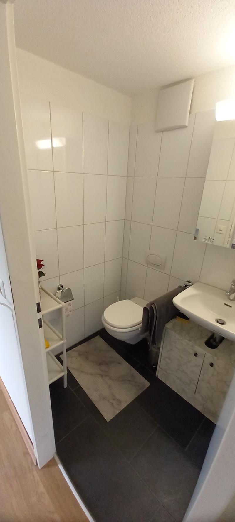 Helle 3,5 - 4 ZW mit Terasse für max 6 Monate privat unterzuvermieten (5)