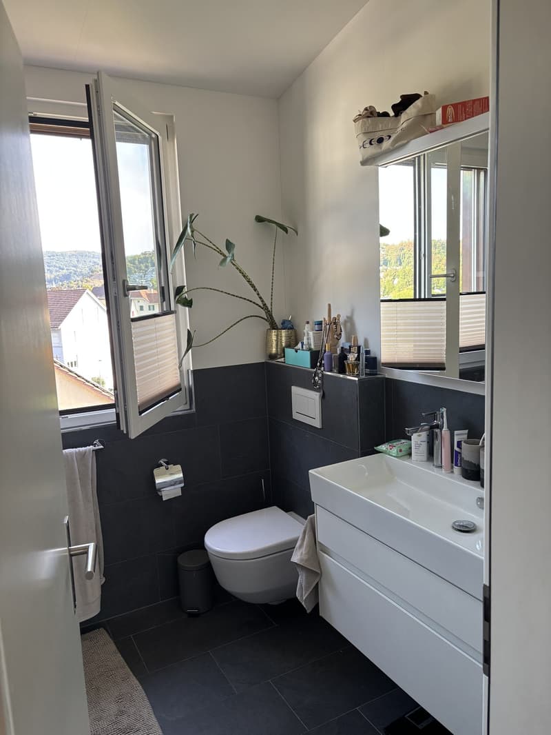Dachgeschosswohnung im Maisonette-Stil (9)