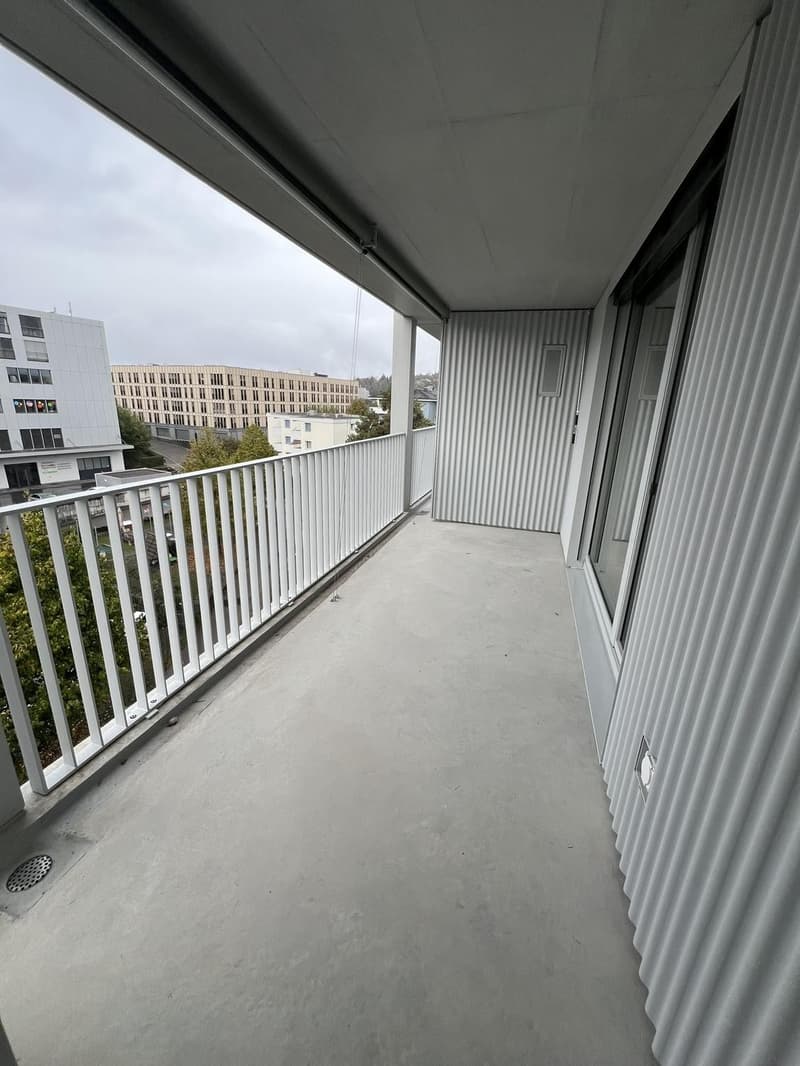 Moderne 2.5-Zimmer-Neubauwohnung mit Bergsicht  4 Min. zum Bahnhof Effretikon (10)