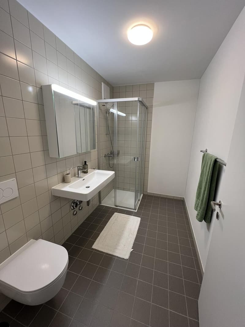 Moderne 2.5-Zimmer-Neubauwohnung mit Bergsicht  4 Min. zum Bahnhof Effretikon (6)