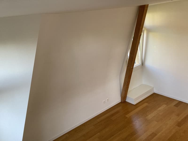 Kreis 6 Elegante Wohnung über den Dächern von Zürich - Top Lage (9)