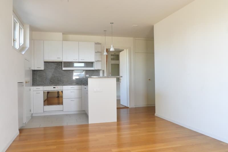Kreis 6 Elegante Wohnung über den Dächern von Zürich - Top Lage (1)