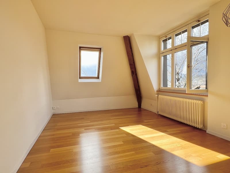 Kreis 6 Elegante Wohnung über den Dächern von Zürich - Top Lage (6)