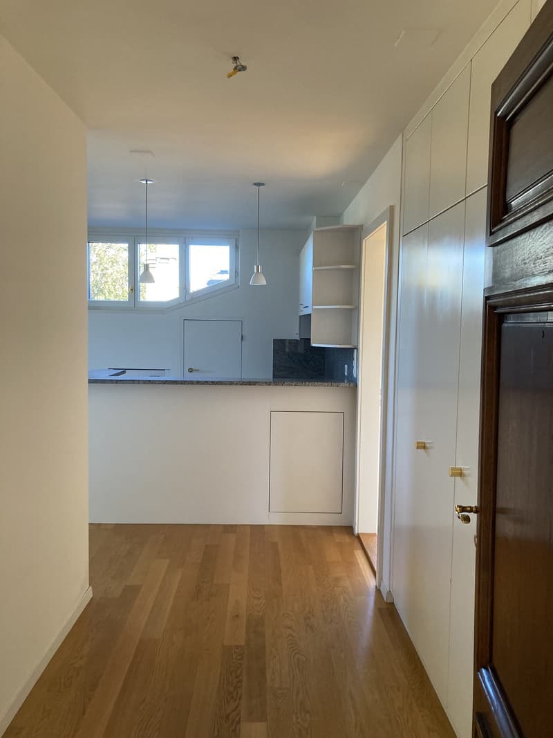 Kreis 6 Elegante Wohnung über den Dächern von Zürich - Top Lage (5)