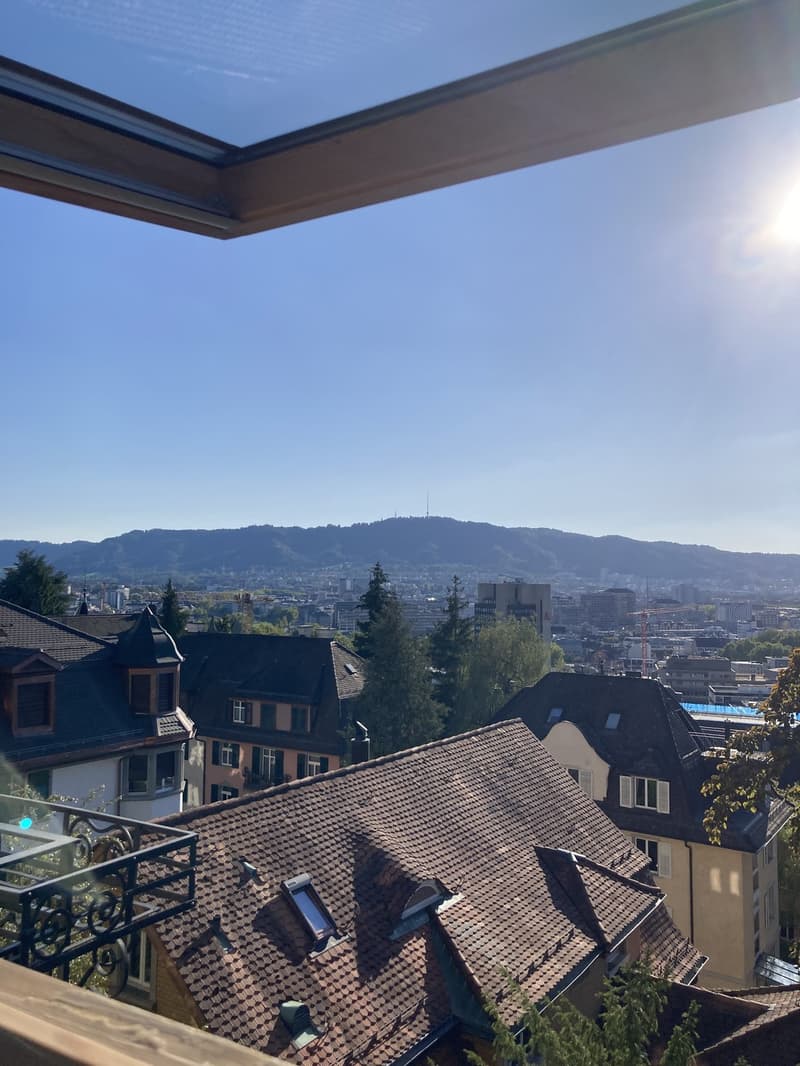 Kreis 6 Elegante Wohnung über den Dächern von Zürich - Top Lage (4)