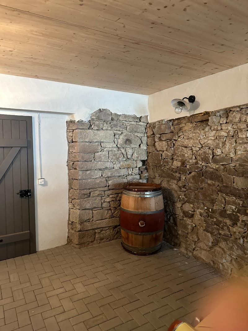Einzigartiges Loft-Haus mit Dachterrasse und historischem Charme (5)