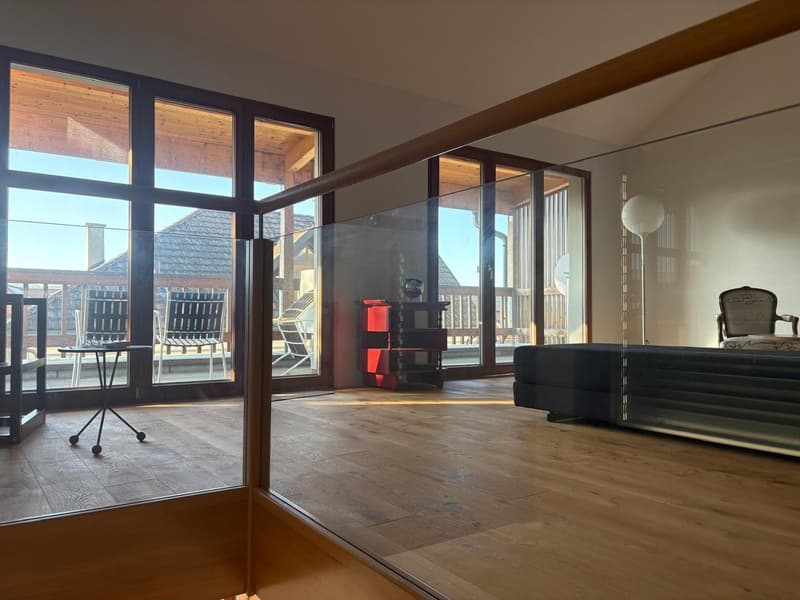 Einzigartiges Loft-Haus mit Dachterrasse und historischem Charme (6)