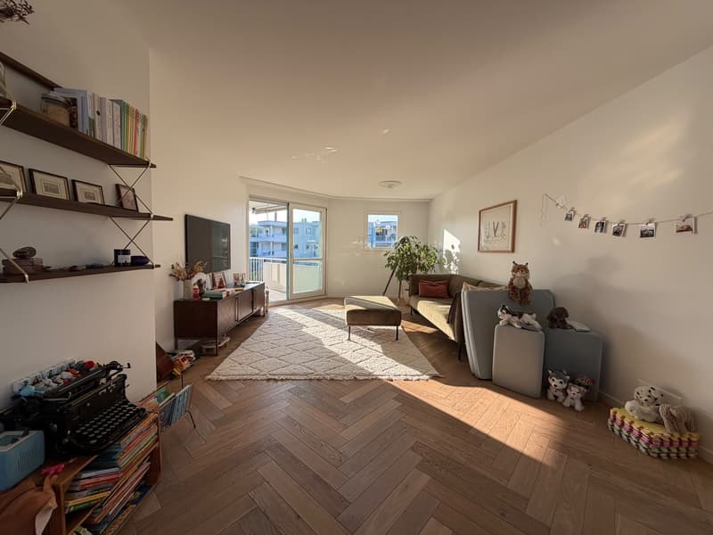 Beautiful, spacious 5.5-room apartment in the city centre (Tribschen) right by the lake / Wunderschöne, geräumige 5.5-Zimmer-Wohnung im Stadtzentrum (Tribschen) direkt am See (2)