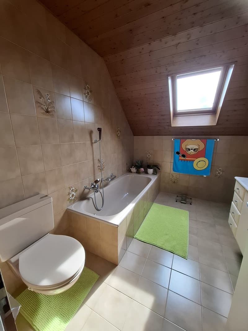 Jolie maison individuelle (12)