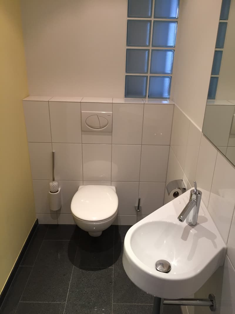 Sonnenverwöhnte 2.5-Zimmer-Wohnung mit See- und Alpensicht (7)