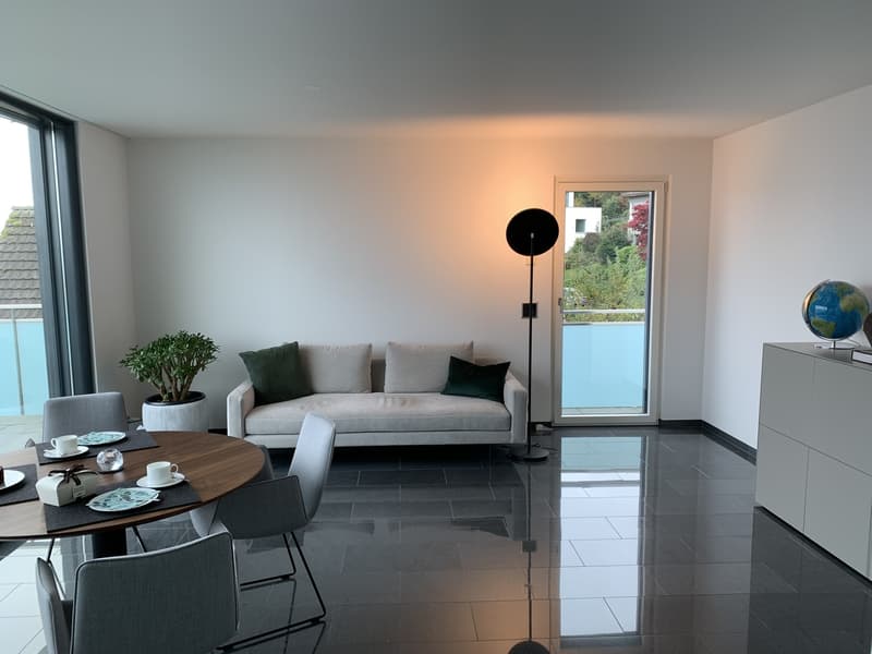 Sonnenverwöhnte 2.5-Zimmer-Wohnung mit See- und Alpensicht (3)