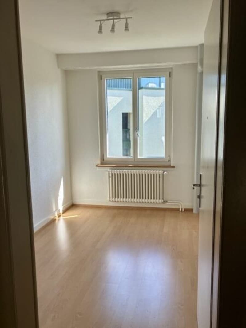 Centrally located apartment (Searching for a female person) (2)
