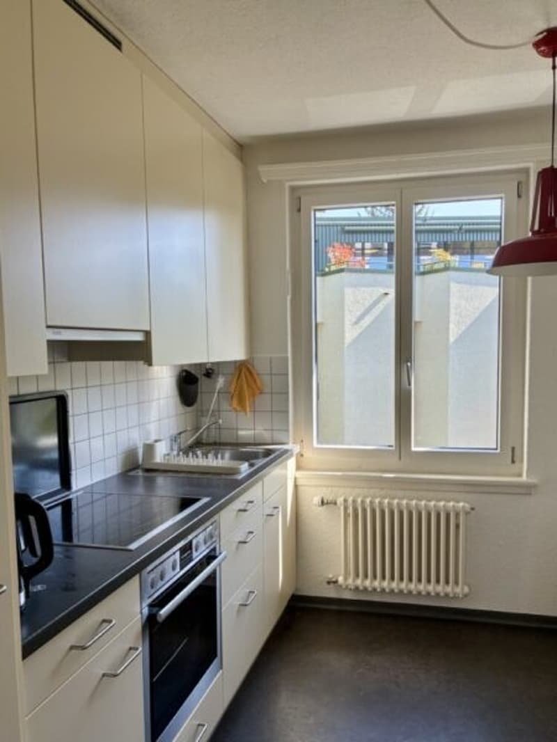 Centrally located apartment (Searching for a female person) (1)