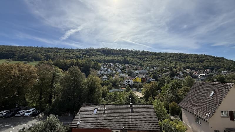 Bright 4-Room Apartment with Large Balcony & Beautiful Lägern Views  Replacement Tenant Wanted (2)
