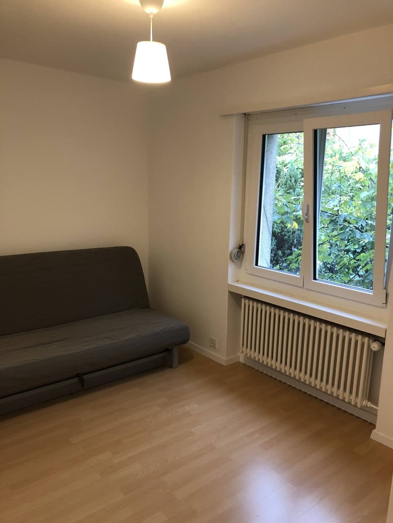 Bright 4-Room Apartment with Large Balcony & Beautiful Lägern Views  Replacement Tenant Wanted (9)