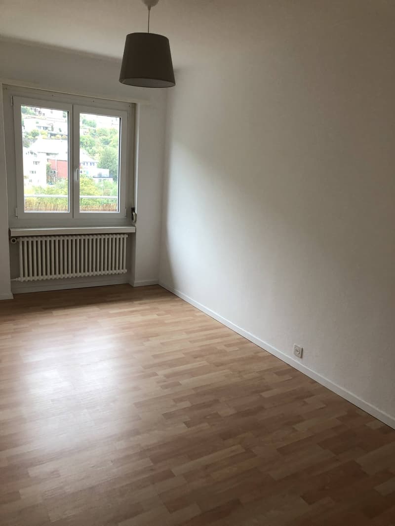 Bright 4-Room Apartment with Large Balcony & Beautiful Lägern Views  Replacement Tenant Wanted (4)