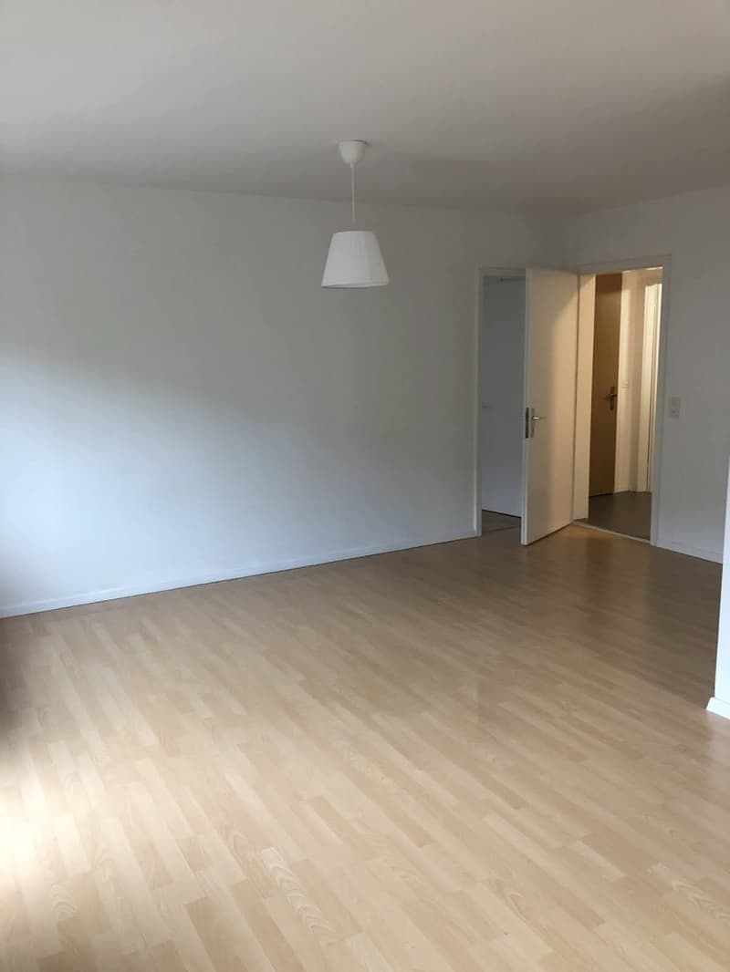 Bright 4-Room Apartment with Large Balcony & Beautiful Lägern Views  Replacement Tenant Wanted (11)
