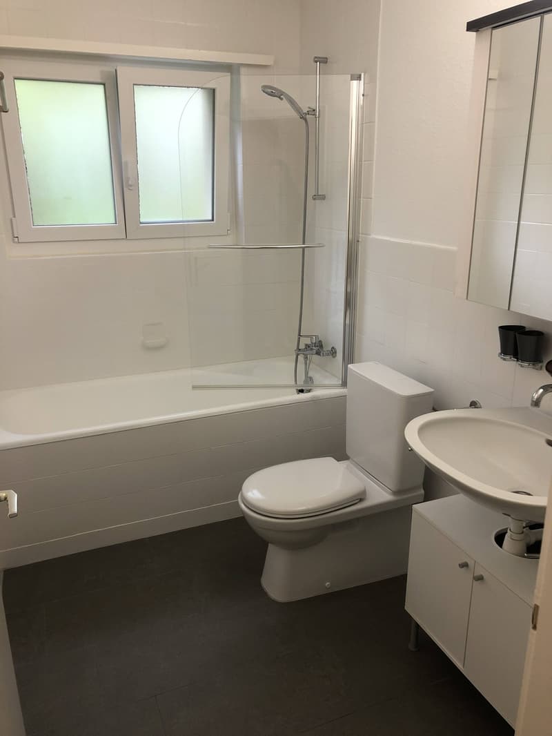Bright 4-Room Apartment with Large Balcony & Beautiful Lägern Views  Replacement Tenant Wanted (6)
