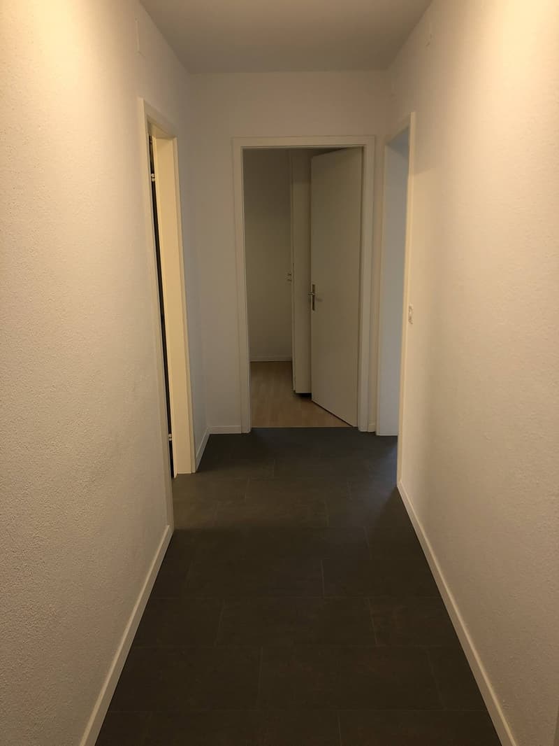 Bright 4-Room Apartment with Large Balcony & Beautiful Lägern Views  Replacement Tenant Wanted (7)