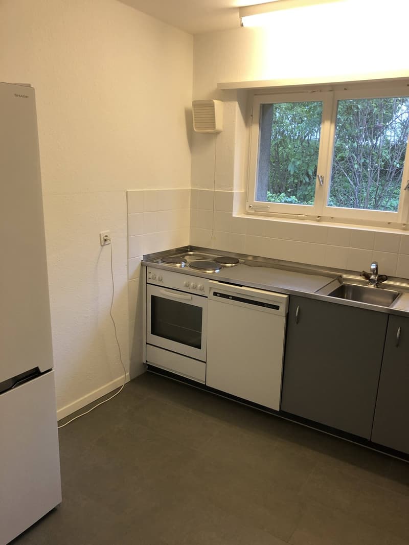 Bright 4-Room Apartment with Large Balcony & Beautiful Lägern Views  Replacement Tenant Wanted (5)