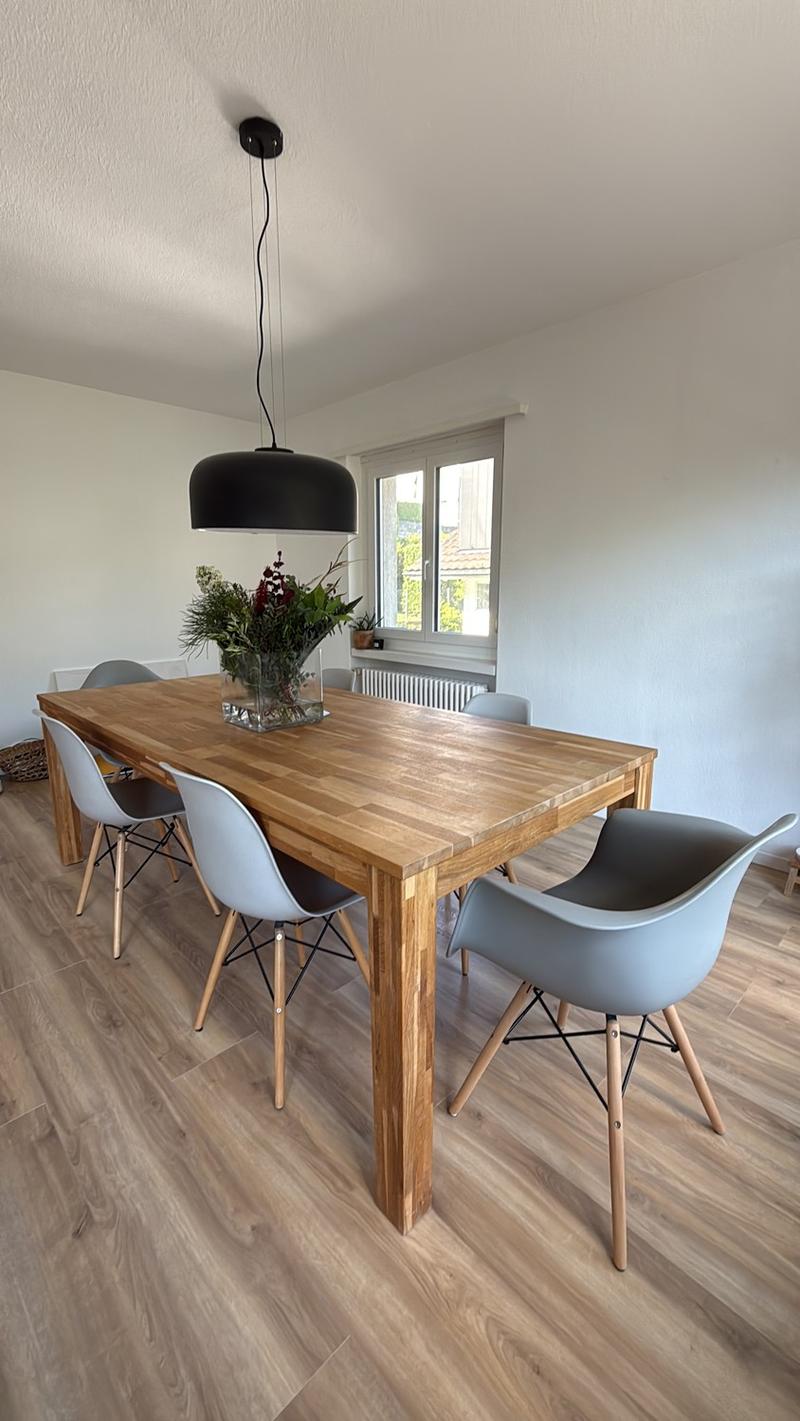 Bright 4-Room Apartment with Large Balcony & Beautiful Lägern Views  Replacement Tenant Wanted (3)
