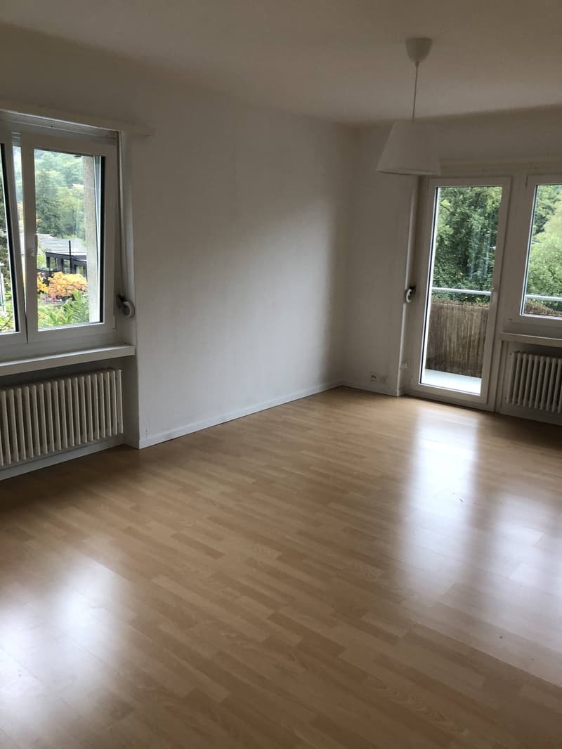 Bright 4-Room Apartment with Large Balcony & Beautiful Lägern Views  Replacement Tenant Wanted (8)