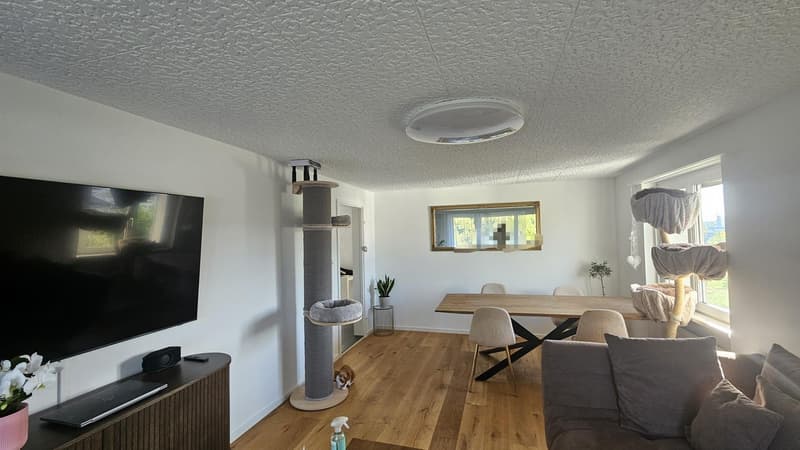 Wohnung im obersten Stock mit Lift und Balkon (3)