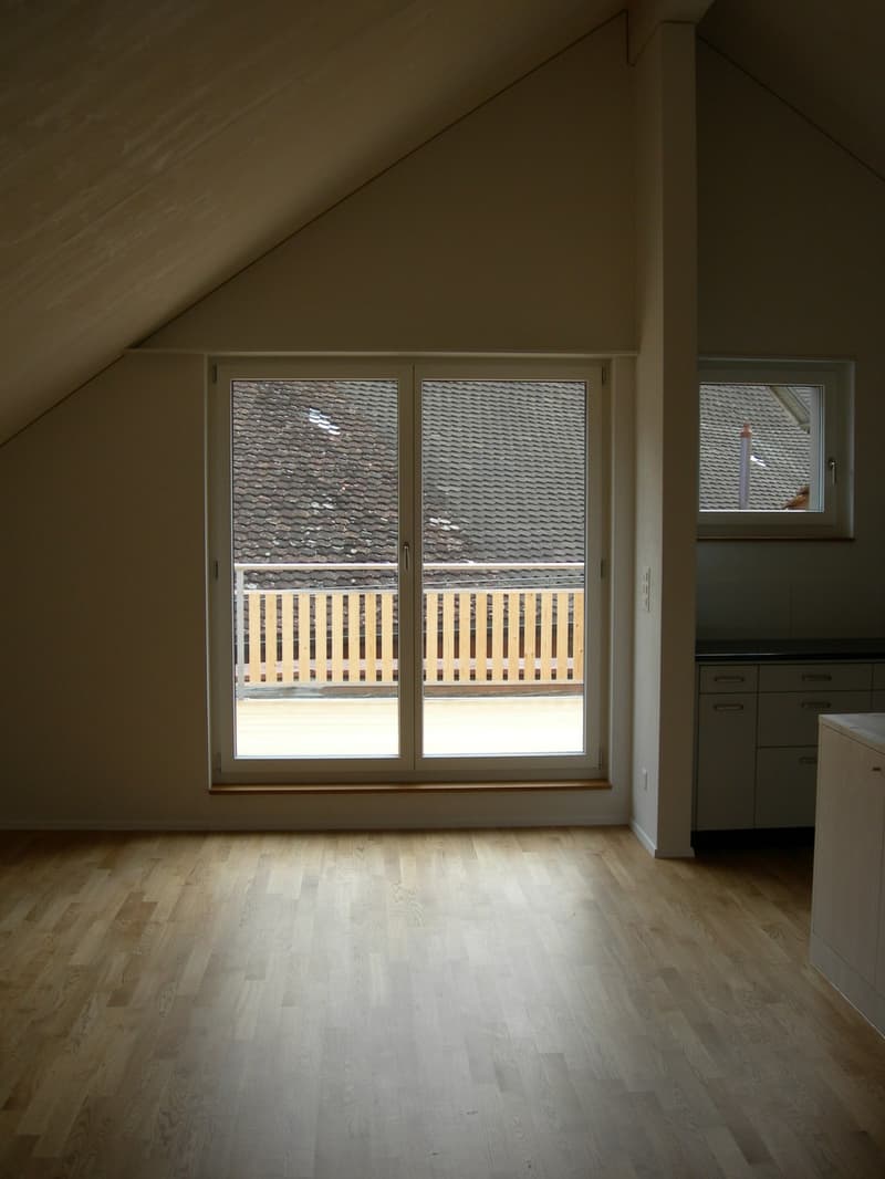 Dachwohnung im Zentrum Wülflingen (1)