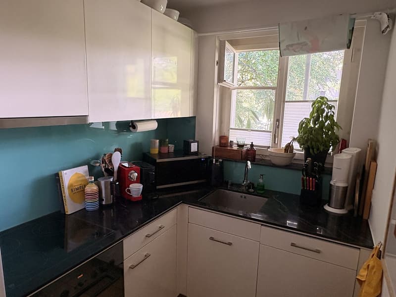 Möblierte 2.5-Zimmer-Wohnung mit Seesicht am Zürichberg, 1 Jahr Untermiete (3)