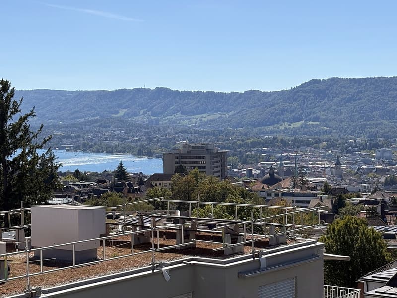 Möblierte 2.5-Zimmer-Wohnung mit Seesicht am Zürichberg, 1 Jahr Untermiete (2)