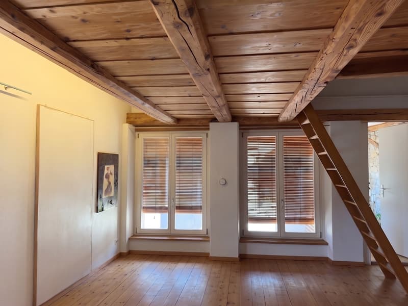 Wohnen in der Solothurner-Altstadt nahe der Aare (5)