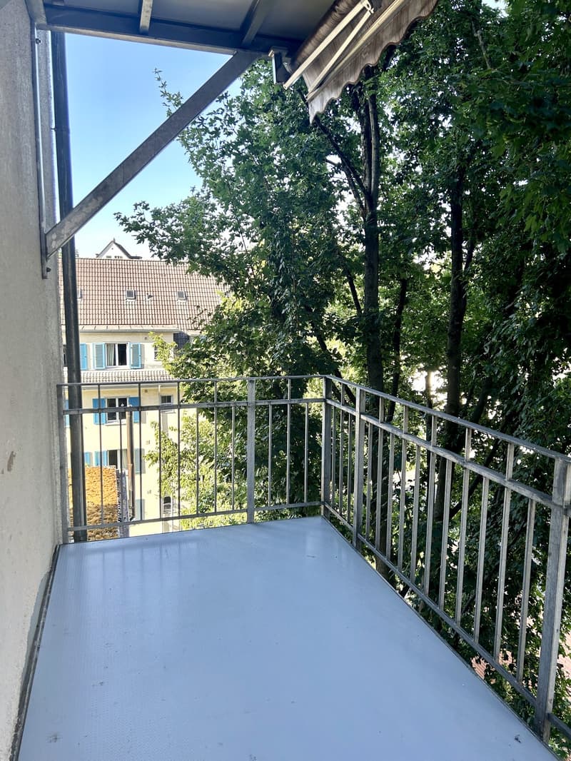 4.5-Zimmer Wohnung in nächster Nähe der Spitäler Balgrist (3)