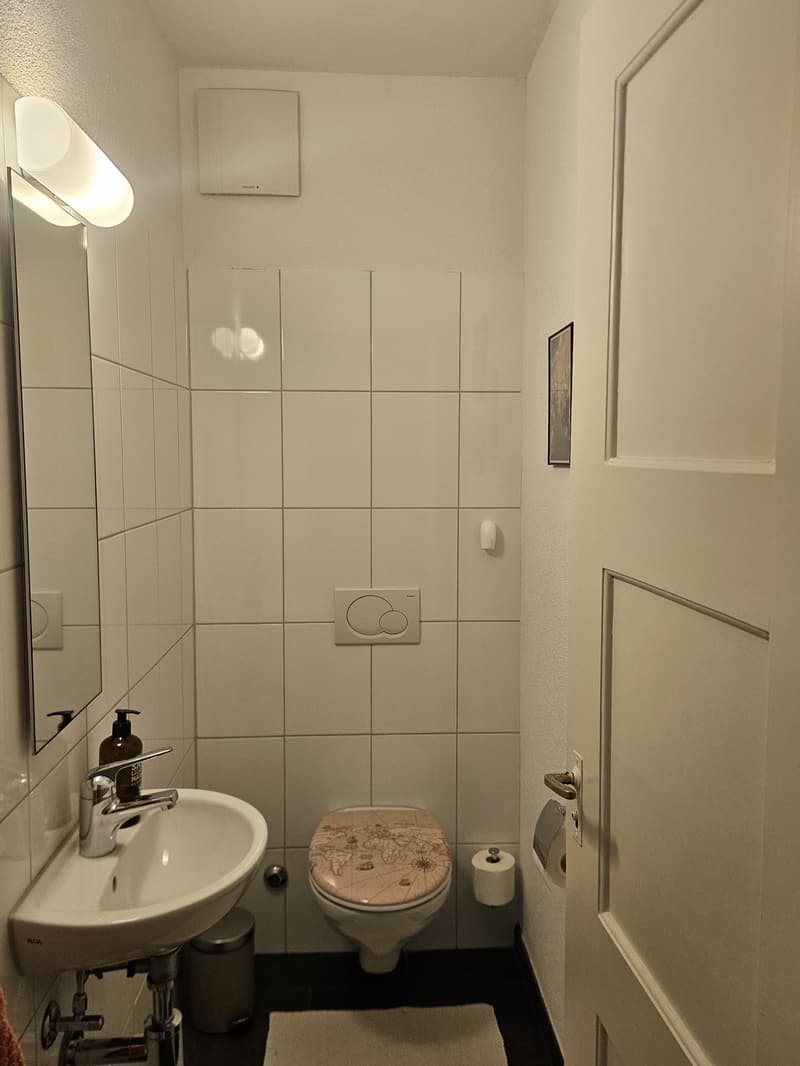 Charmante möblierte 2,5-Zimmer-Wohnung in Wiedikon zur Untermiete (9)