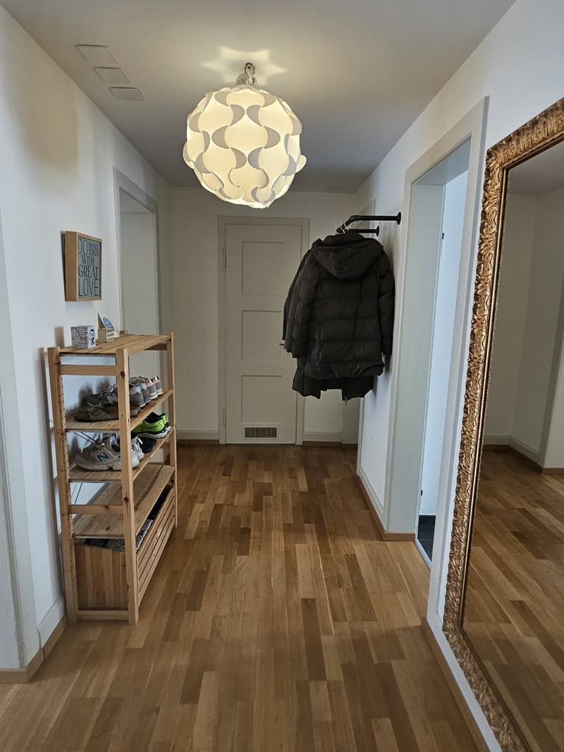 Charmante möblierte 2,5-Zimmer-Wohnung in Wiedikon zur Untermiete (6)