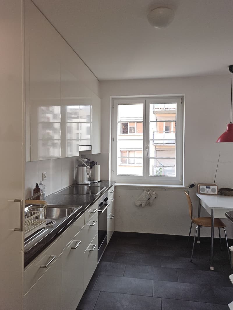 Charmante möblierte 2,5-Zimmer-Wohnung in Wiedikon zur Untermiete (4)