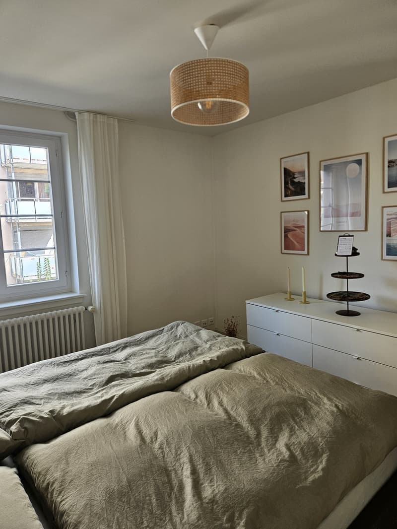 Charmante möblierte 2,5-Zimmer-Wohnung in Wiedikon zur Untermiete (10)